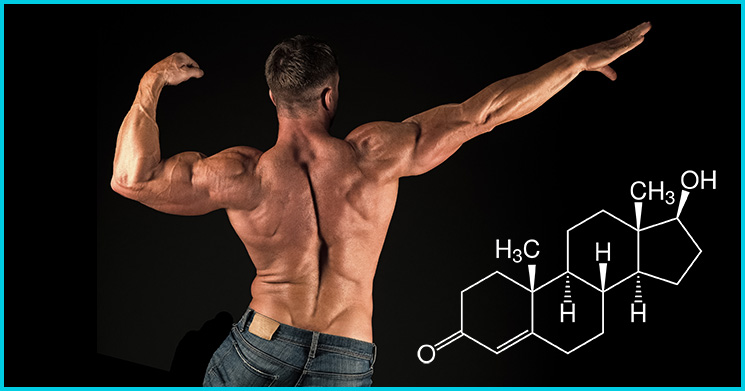 The Future Of trenbolone kaufen