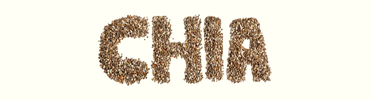 Chia Samen Superfood