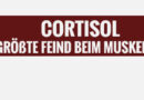 Cortisolspiegel