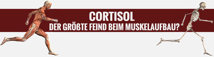 Cortisolspiegel