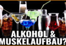 Alkohol und Muskelaufbau