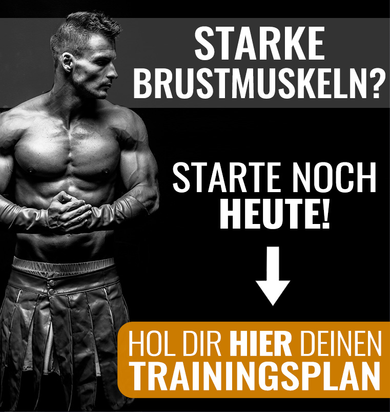 Brust Trainingsplan