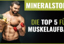 Mineralstoffe Muskelaufbau