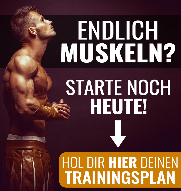 Muskelaufbau Trainingsplan