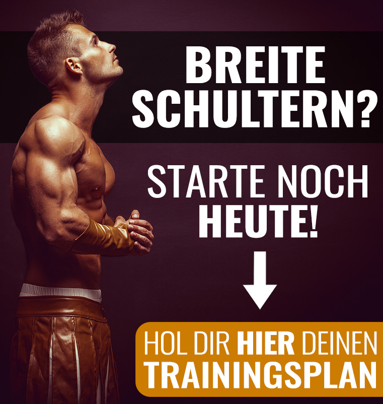 Schulter Trainingsplan