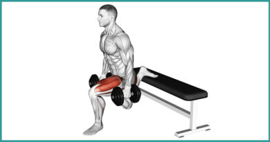 Bulgarian Split Squats